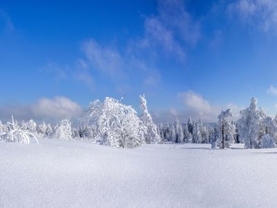 Adventszauber im Erzgebirge